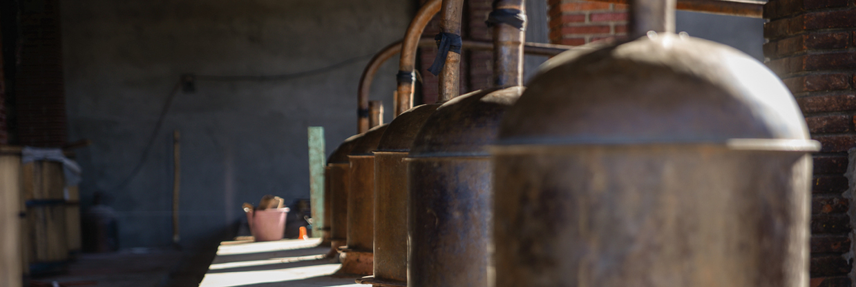 Distillerie Mezcal - Étape 4