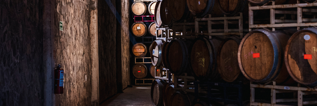 Distillerie Mezcal - Étape 5